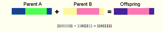 Διασταύρωση (Crossover ή mating) (3) Διασταύρωση δύο σημείων (two point crossover) Σε αυτήν επιλέγονται δύο σημεία τα οποία ορίζουν τρία τμήματα σε κάθε