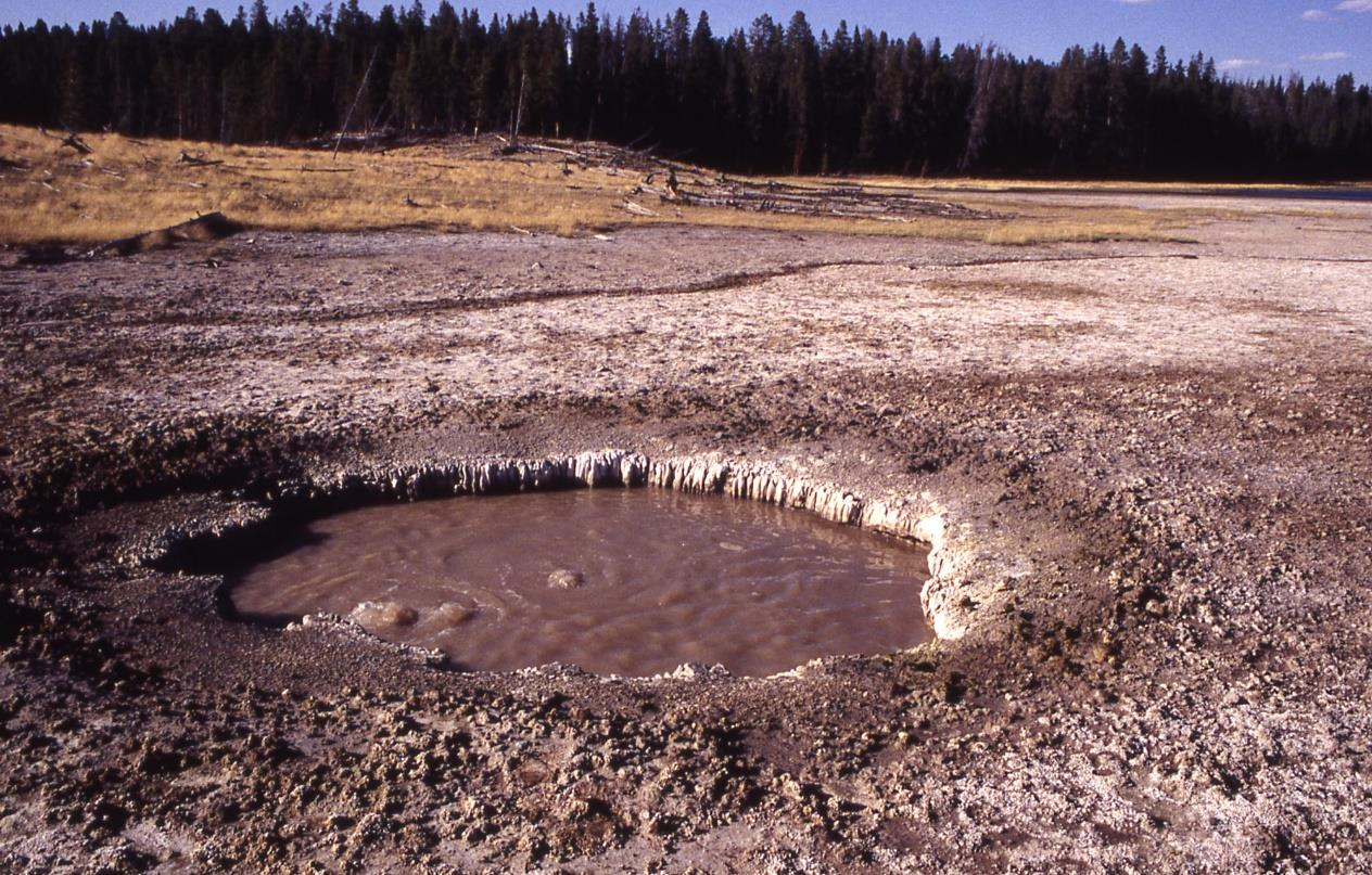 Οι λεκάνες ίλυος (mud pools, Εικόνα 1.