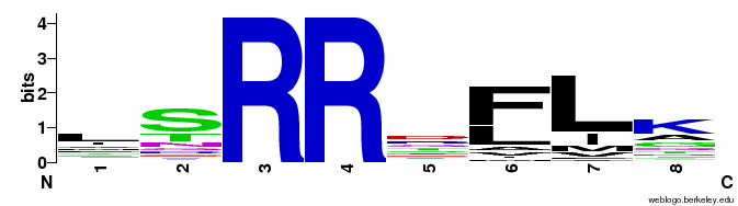 Εικόνα 5.14: Παραδείγματα Sequence Logo από αλληλουχίες πρωτεϊνών. Πάνω, τα λογότυπα των καρβοξυτελικών περιοχών που περιέχουν το σήμα στόχευσης για το υπεροξείσωμα (PTS1).