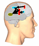 Κατανεμημένη νόηση (distributed cognition) (2/2) Μονάδα ανάλυσης η ομάδα: «Άτομο» + «Κοινωνικοί Εταίροι» + «Αντικείμενα διαμεσολάβησης» Η ομάδα περιλαμβάνει ένα πλήθος εμπρόθετων διαδραστικών