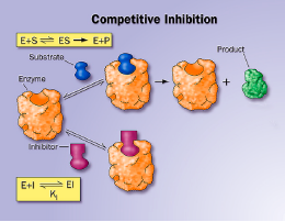 Ο συναγωνιστικός αναστολέας (inhibitor) στη συναγωνιστική αναστολή παρουσιάζει οµοιότητες δοµής µε το υπόστρωµα και συνδέεται αντιστρεπτά στην ενεργό περιοχή του ενζύµου.