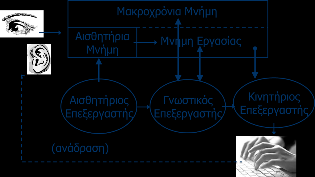 Τέλος ο κινητήριος επεξεργαστής παραλαμβάνει εντολή μιας ενέργειας από το γνωστικό επεξεργαστή και καθοδηγεί τους μύες ώστε να την εκτελέσει. Εικόνα 2.
