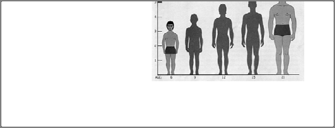 gr Η αύξηση της ηλικίας συνοδεύεται από σημαντικές αλλαγές στην εξωτερική εμφάνιση Το ύψος και το βάρος εξακολουθούν να μεταβάλλονται όσο προχωράει η ηλικία Η σύσταση των οστών, και η αναλογία λίπους