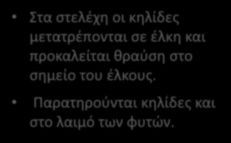 προκαλείται θραύση στο σημείο του