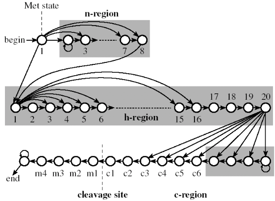 Hidden Markov