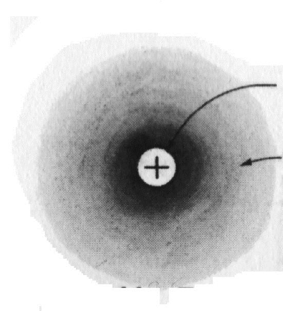 Κεντρικό ιόν θετικά φορτισμένο Το κεντρικό ιόν περιβάλλεται από νέφος ίσου και αντίθετου προς αυτό φορτίου Απεικόνιση της κατανομής της