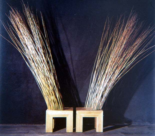 Rietveld,