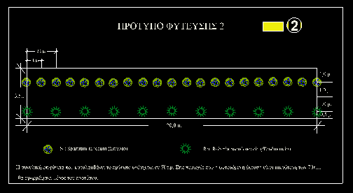 (Σπάρτο) 21 φυτά / 60 m 2 Robinia pseudoacacia (Ψευδακακία) 11