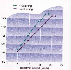 Bradycardia (down to 20bpm) Anatomic