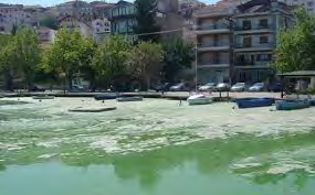 2 ο 6/ΘΕΣΙΟ ΔΗΜΟΤΙΚΟ ΣΧΟΛΕΙΟ ΚΑΣΤΟΡΙΑΣ ΠΕΡΙΒΑΛΛΟΝΤΙΚΟ ΠΡΟΓΡΑΜΜΑ Τίτλος: «Μικρή γλυκιά ζωή στη λίμνη μας» Υπεύθυνη προγράμματος: Η δασκάλα της Δ τάξης, Στεργιανή Λουδοβάρη Περιγραφή του προγράμματος