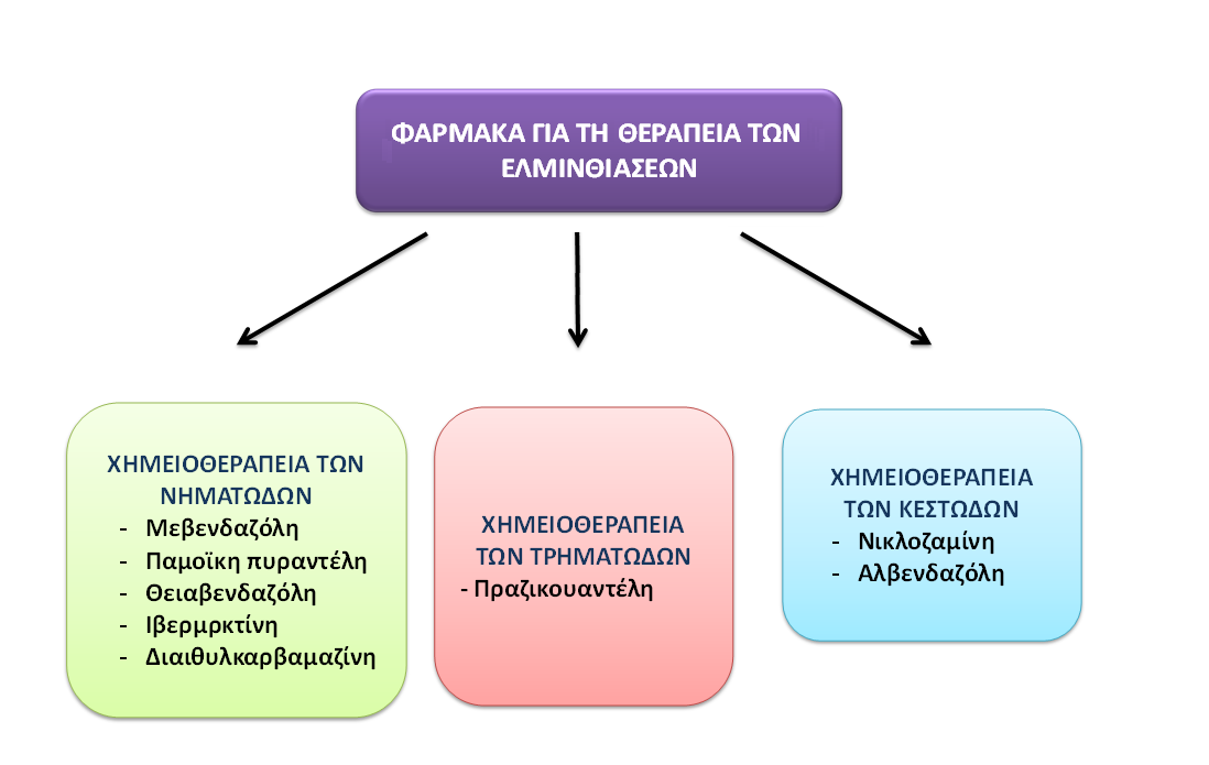 Τα ανθελμινθικά φάρμακα έχουν μεταβολικούς στόχους οι οποίοι υπάρχουν στο παράσιτο, αλλά είτε λείπουν από τον ξενιστή, είτε έχουν διαφορετικά χαρακτηριστικά σε αυτόν. Σχήμα 32.