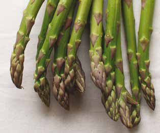 Asparagus officinalis Ευρώπη, Δυτική Ασία Δυσκολία Υψηλή Φυτέψτε σπόρους 3-4 ετών για να έχετε σπαρράγια μέσα σε λίγους μήνες.
