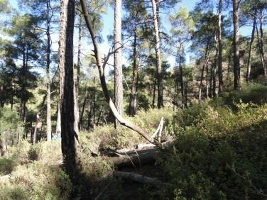 «Το μονοπάτι το έχει ανοίξει ο Ανδρέας Ζαχαρίoυ ιδρυτής του ΕΟΣ Λευκωσίας το 1997 με πολύ μόχθο.