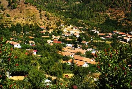 Μ: 6-9 km (με επιστροφή και αναλόγως αφετηρίας) Χ: 2-2,5 ώρες ΒΔ: 2-3 7/05/2016 55 η Εξόρμηση ΠΑΝΘΕΑ, Τσακκίστρα-Κάμπος Μ: 10,1 km Χ: 3-3,5 ώρες ΒΔ: 2 Αφετηρία: Δρόμος Κύκκου- Τσακίστρας (έξω από την