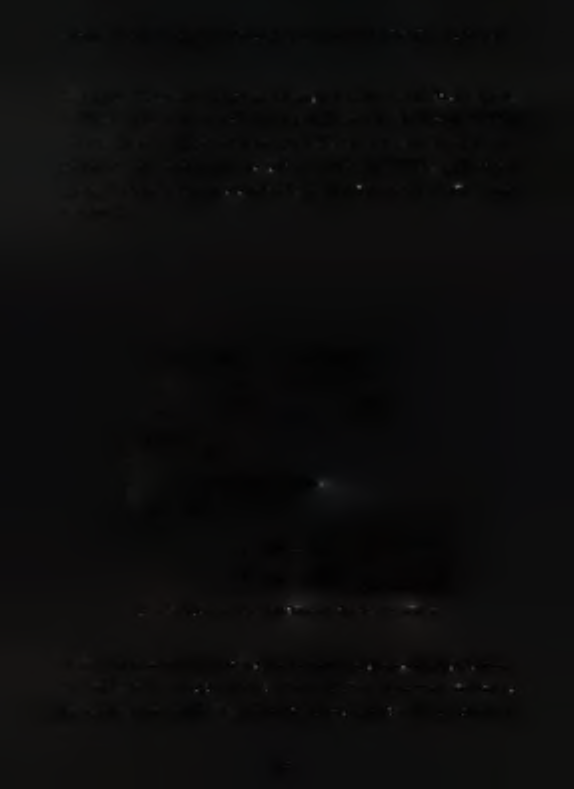 Η post - synthesis αυτή διαδικασία ονομάζεται Vital Simulation.