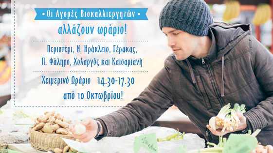 οριστική λύση στα πλαίσια του χρονοδιαγράμματος που ετέθη.