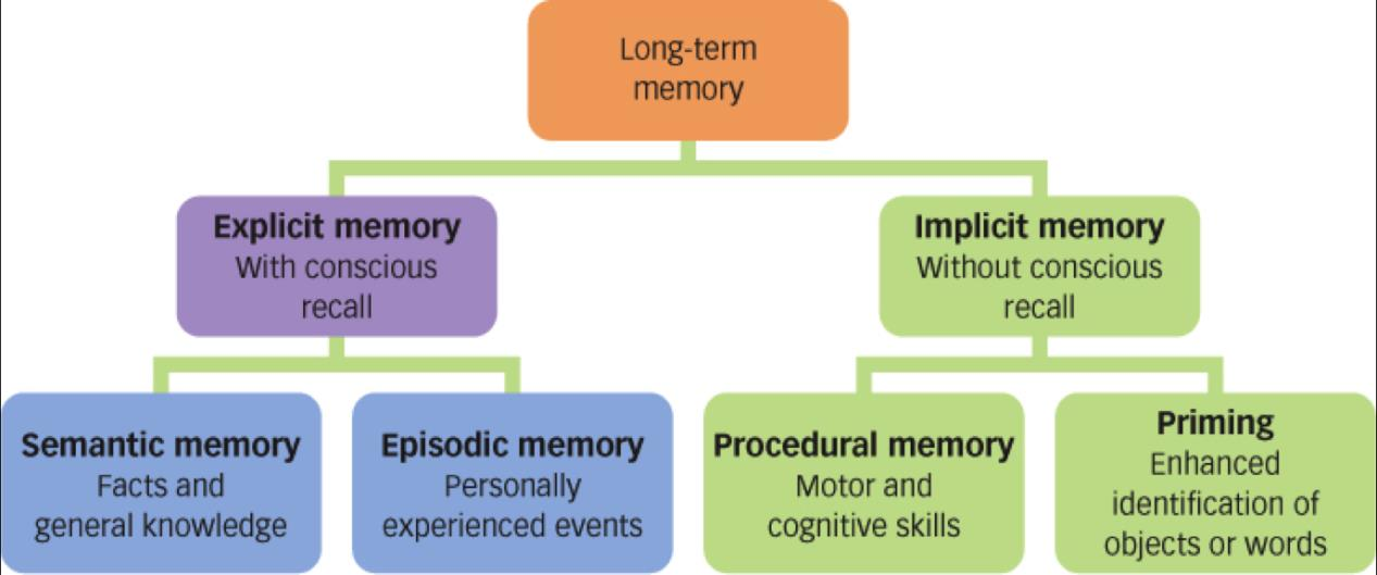 Η έκδηλη μνήμη μπορεί να διαιρεθεί εκ νέου, ανάλογα με τη φύση της πληροφορίας, στην επεισοδιακή (episodic) και στη σημασιολογική (semantic) μνήμη.