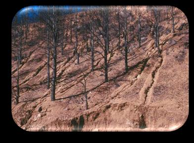 Αυλακωτή ή αυλακoειδής διάβρωση (Rill erosion): χαρακτηρίζεται η δημιουργία από τα απορρέοντα ύδατα πλήθους μικρών, σχετικά αβαθών αυλάκων στην επιφάνεια του