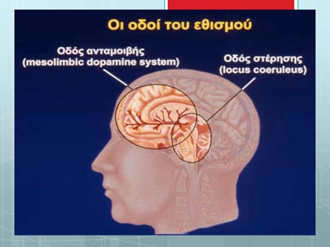 οργανισμού για κάλυψη των βιολογικών του αναγκών, όπως η λήψη τροφής, το νερό, η σεξουαλική συνεύρεση, που είναι απαραίτητες για την διατήρηση της ζωής του και την επιβίωση του είδους του.