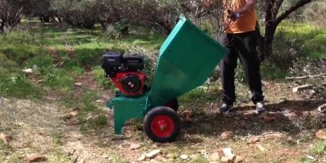 3 ΚΛΑΔΕΜΑΤΑ Κάθε χρόνο κλαδεύονται τα δέντρα της ελιάς και τα ελαιοκλαδέματα παραμένουν στο χωράφι όπου συνήθως καίγονται επιτόπου προσεκτικά, για την αποφυγή πυρκαγιών.