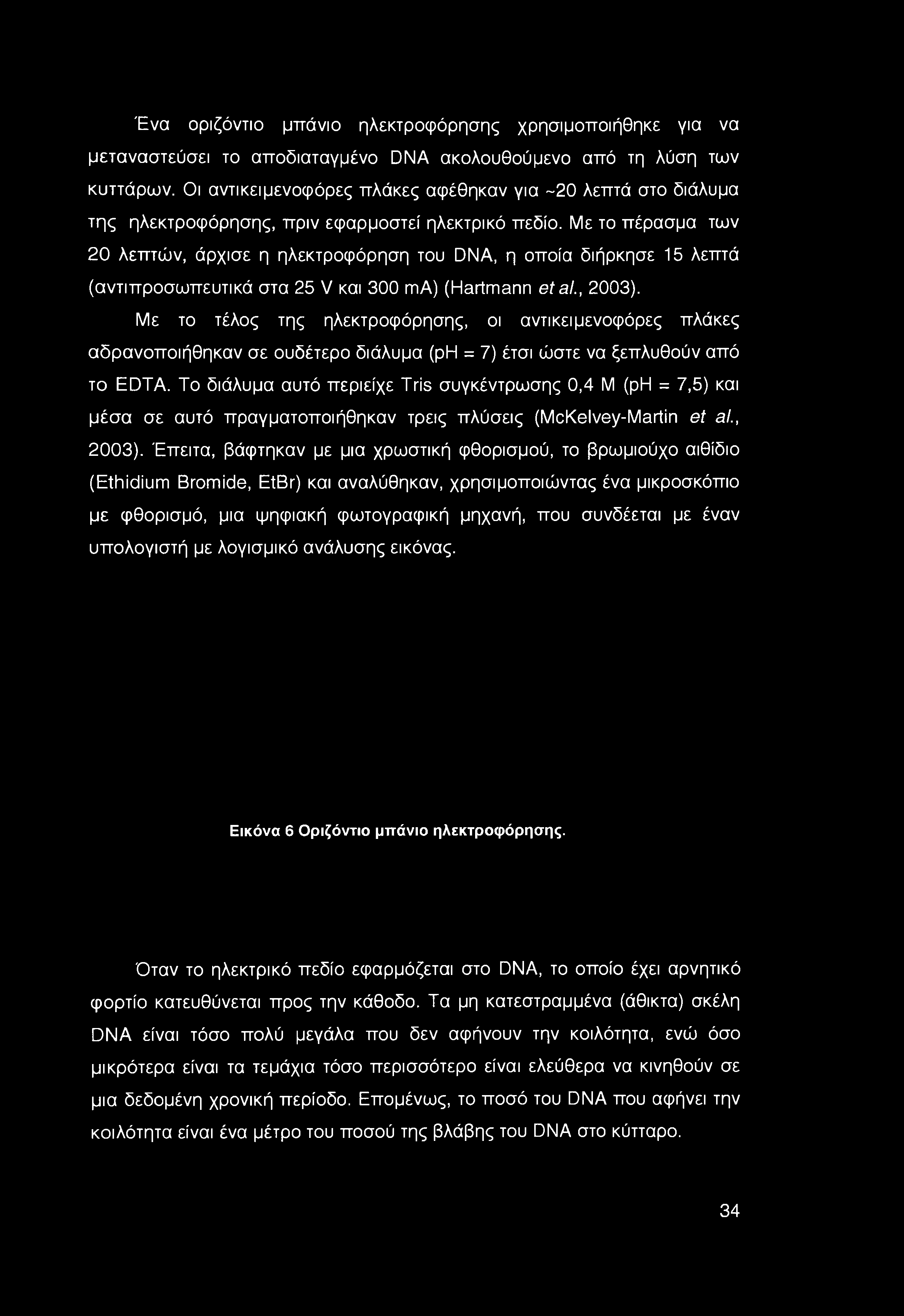 Ένα οριζόντιο μπάνιο ηλεκτροφόρησης χρησιμοποιήθηκε για να μεταναστεύσει το αποδιαταγμένο DNA ακολουθούμενο από τη λύση των κυττάρων.