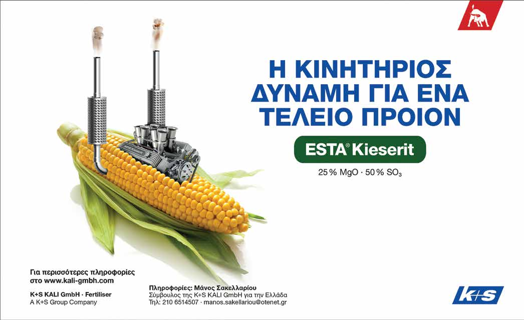 ΚΡΙΣΙΜΕΣ ΑΠΟΦΑΣΕΙΣ ΑΠΟΤΕΛΕΣΜΑΤΙΚΗ ΦΥΤΟΠΡΟΣΤΑΣΙΑ ΣΤΟ ΚΑΛΑΜΠΟΚΙ Η επιλογή του σωστού υβριδίου είναι βασικό στοιχείο της καλής απόδοσης αλλά όχι το μόνο.