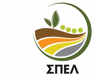 Όταν ακολουθείται ορθολογική λίπανση κάθε ευρώ που επενδύεται για την αγορά λιπασμάτων αξίζει και α- νταποδίδεται σε πολλαπλάσιο βαθμό.