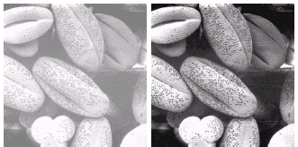 Images taken from Gonzalez & Woods, Digital Image Processing (2002) 25 Equalisation Examples 2 26