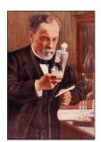 Ζύμωση και Παστερίωση Ο Pasteur έδειξε ότι τα παραπάνω βακτήρια μπορούν να σκοτωθούν με θέρμανση χωρίς να