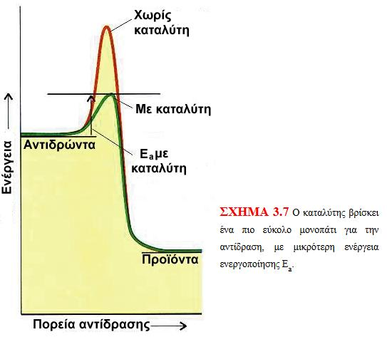 καμπύλης. Το «εμβαδόν» κάτω από τη καμπύλη σημαίνει πλήθος μορίων κινητική! Λέει ακόμη το διάγραμμα, ότι άμα αυξηθεί η θερμοκρασία, η καμπύλη μετατοπίζεται δεξιά, διατηρώντας όμως το «εμβαδόν» της.