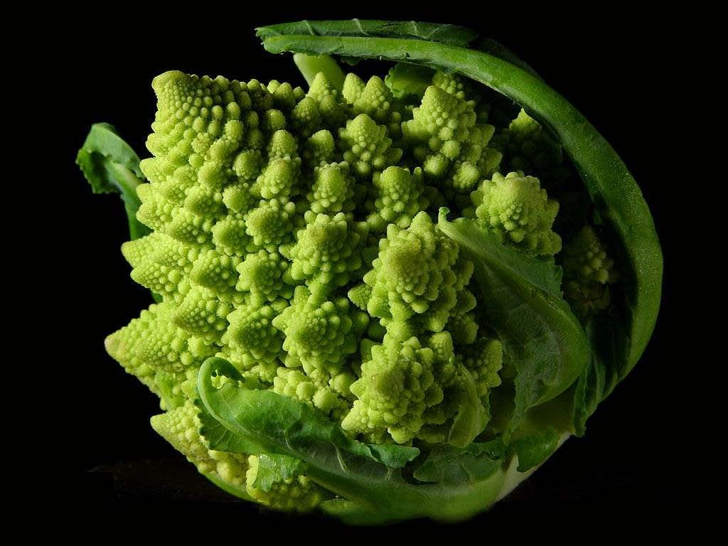 et la régularité mathématique dans un morceau de broccoli.