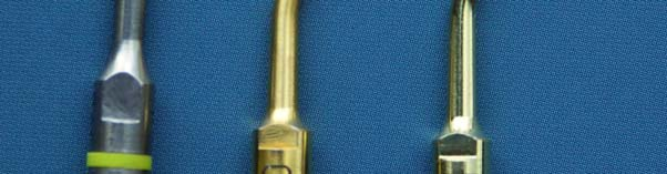 The dimensions of the retrotip were found