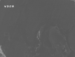 a b c Figure 17.