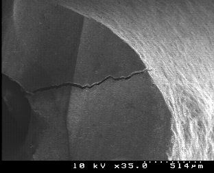 after root-end preparation with Surg-1 (group C).