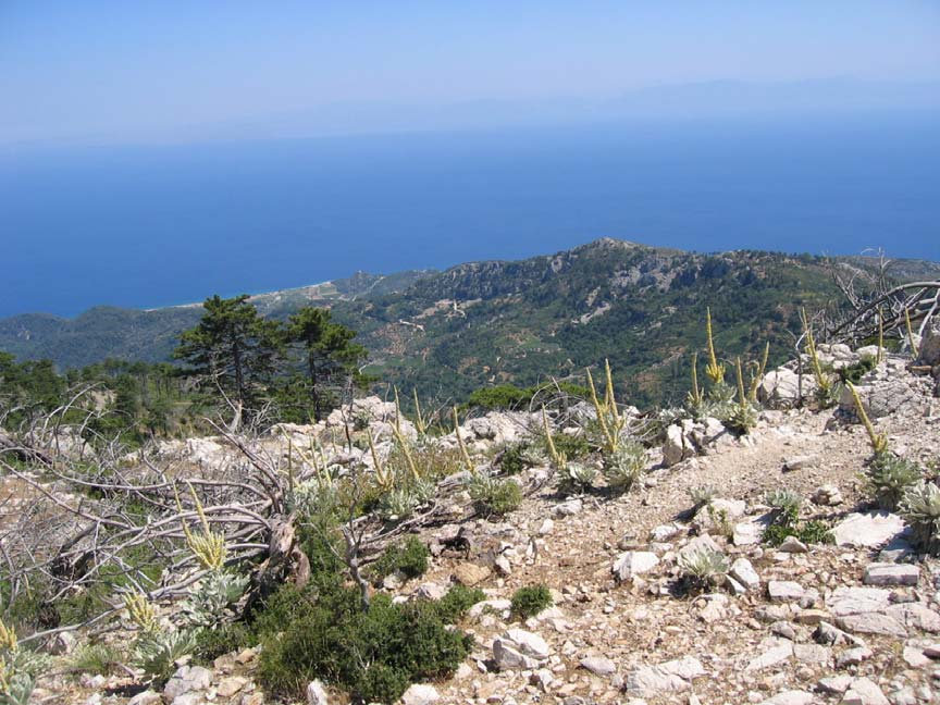 Όρος Καρβούνης Στις 22/11/2008 οι Σπυρόπουλος Γεώργιος, Παγωνδιώτης Σταμάτης,και Τριανταφύλου Μανώλης, με οδηγό τον βοσκό της περιοχής Άγγελο Κλόθο ερευνήσαμε σπήλαια του όρους Καρβούνη ή (Άμπελος).
