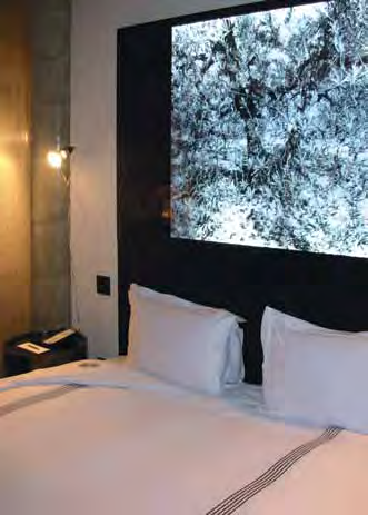 It is the need to choose a place of rest, with calming