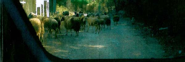 γυµνού οφθαλµού λόγω του χρώµατος και της οσµής του καθώς, οι αποχετευτικοί αγωγοί