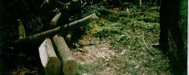 και στην Άνοιξη, διατηρώντας σε µεγάλο βαθµό αναλλοίωτα ή ελαφρώς επιβαρυµένα τα φυσικά του χαρακτηριστικά, βρίσκεται σαφέστατα σε καλύτερη µοίρα από το κατάντη τµήµα έως τις εκβολές του, όπου η