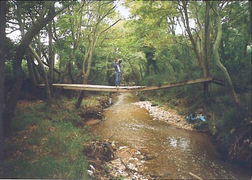 Εικόνα 2.9: Άνω ρους Κηφισού Ποταµού (Αρχείο Π.Τσίτουρα) Εικόνα 2.