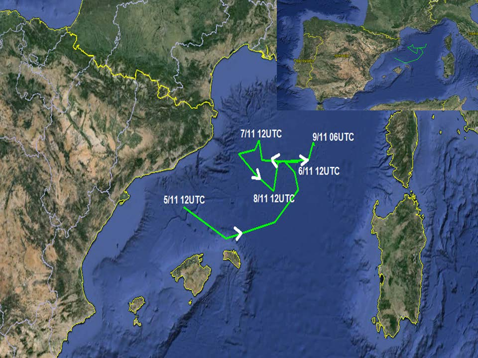 Σχήμα 6.3. Στον παραπάνω χάρτη απεικονίζεται η τροχιά του κυκλώνα στο πείραμα ελέγχου, από τις 5/11 12UTC (Τ+60) που βρέθηκε πάνω από τη θάλασσα, έως τις 9/11 06UTC (Τ+ 150) που διαλύθηκε.