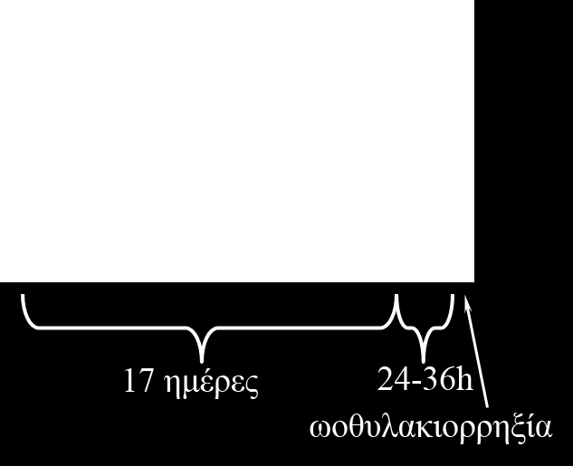 κυοφορίας 5 μήνες.