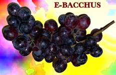 Ευρωπαϊκές Βάσεις εδομένων "E-Bacchus που αφορά τους Οίνους http://ec.europa.eu/agriculture/market s/wine/e-bacchus/ Τις ΠΟΠ και ΠΓΕ της Ε.Ε. σύμφωνα με τον κανονισμό (EΚ) 1234/2007 του Συμβουλίου.