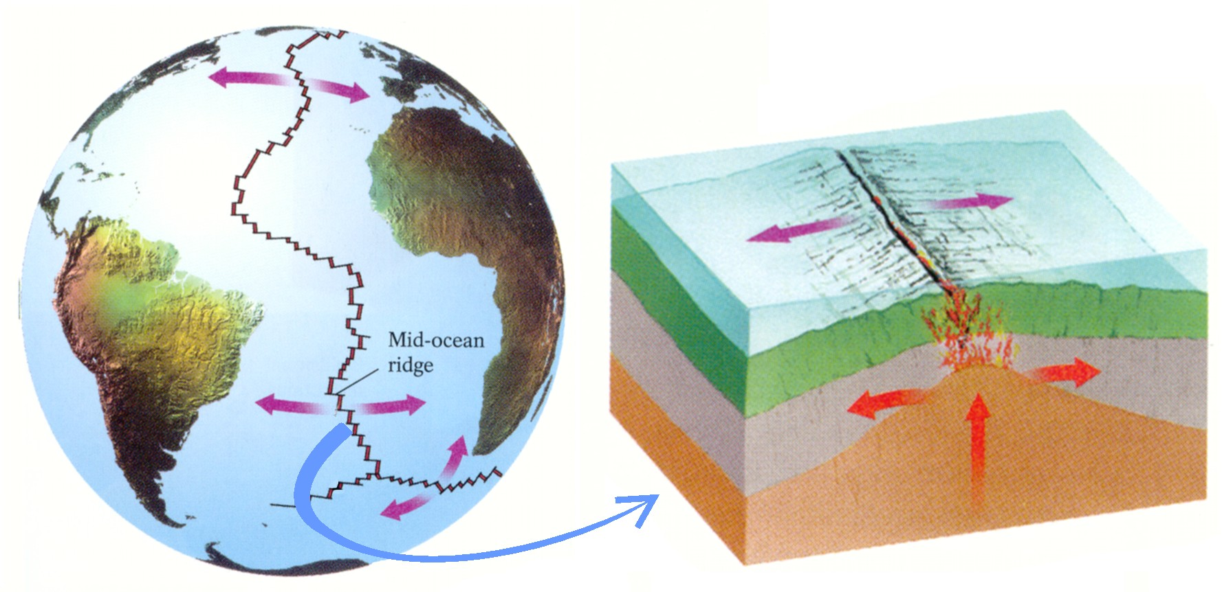 ωκεάνια περιοχή με τη γεωλογική έννοια. Αντίθετα, η κρηπίδα ανήκει στην ήπειρο από την οποία δύσκολα αποχωρίζεται.