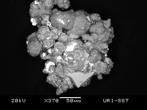 κρατήρα του Κολούμπο. Από τους υδροθερμικούς πόρους (οι οποίοι είναι καλυμμένοι με ένα παχύ στρώμα από βακτηρίδια) (Εικόνα 2.
