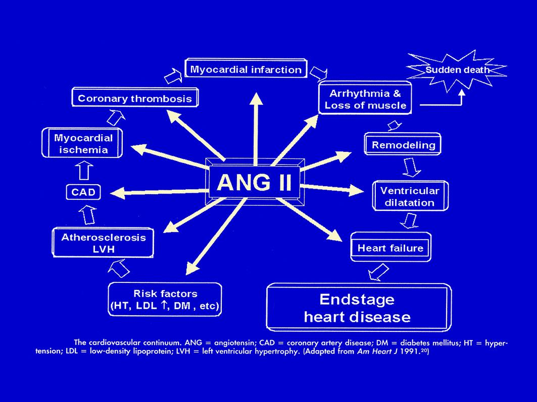 Aim J Cardiol