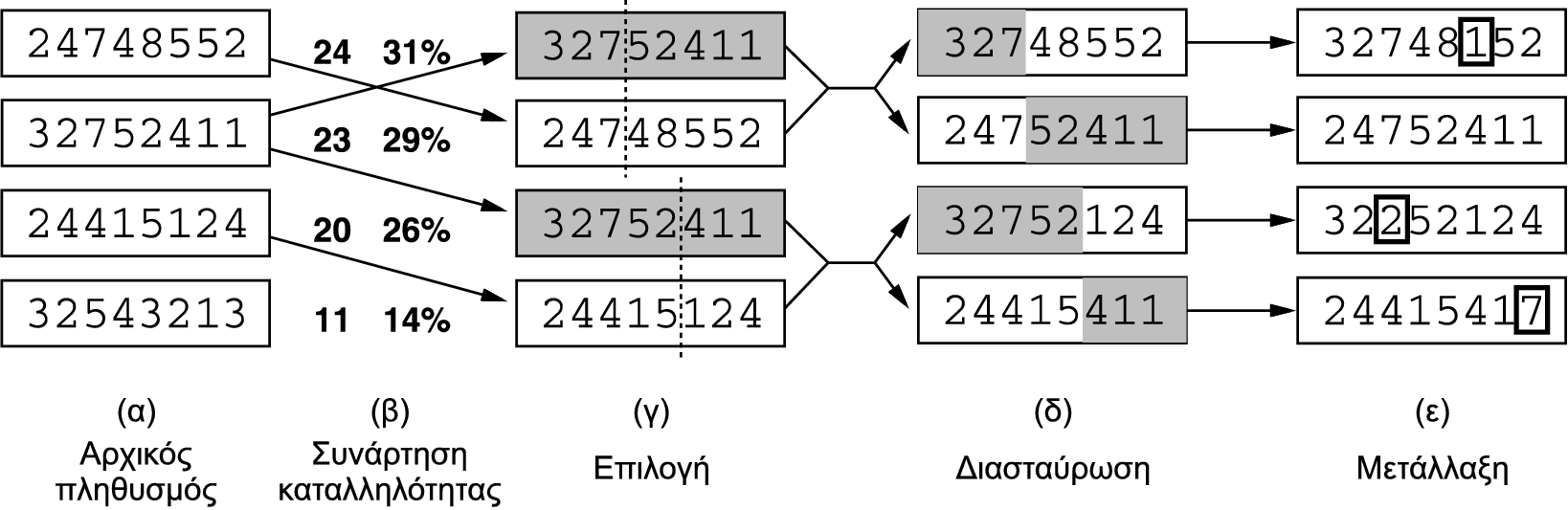 Γενετικοί αλγόριθμοι (1/2) Οι διάδοχες καταστάσεις παράγονται με το συνδυασμό δύο γονικών καταστάσεων, και όχι με την