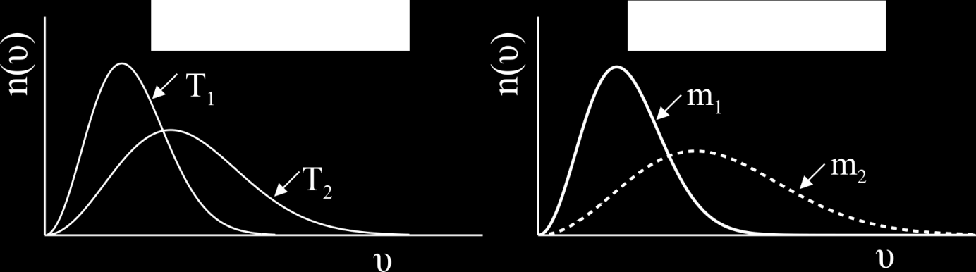 Η μορφή της κατανομής MaxwellBoltzmann δύο αερίων (1 και ) εμφανίζεται στο Σχήμα 1.6 για τις περιπτώσεις: (α) m 1 =m, Τ 1 <Τ, και (β) m 1 >m, Τ 1 =T.