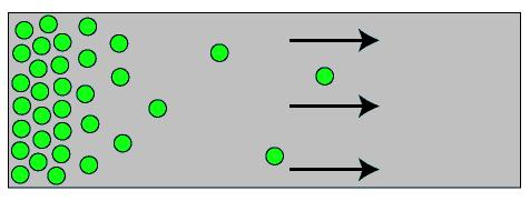 Fig. 2 Difuzia simplă are loc datorită gradientului de concentraţie Difuzia este descrisă de cele două legi ale lui Fick.