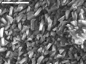 25 β) PFS-NP m, r =0.