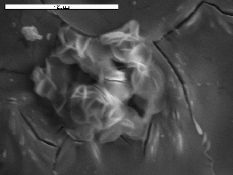 10 ε) PFS-AP c, r = 0.25, AP/Fe = 0.